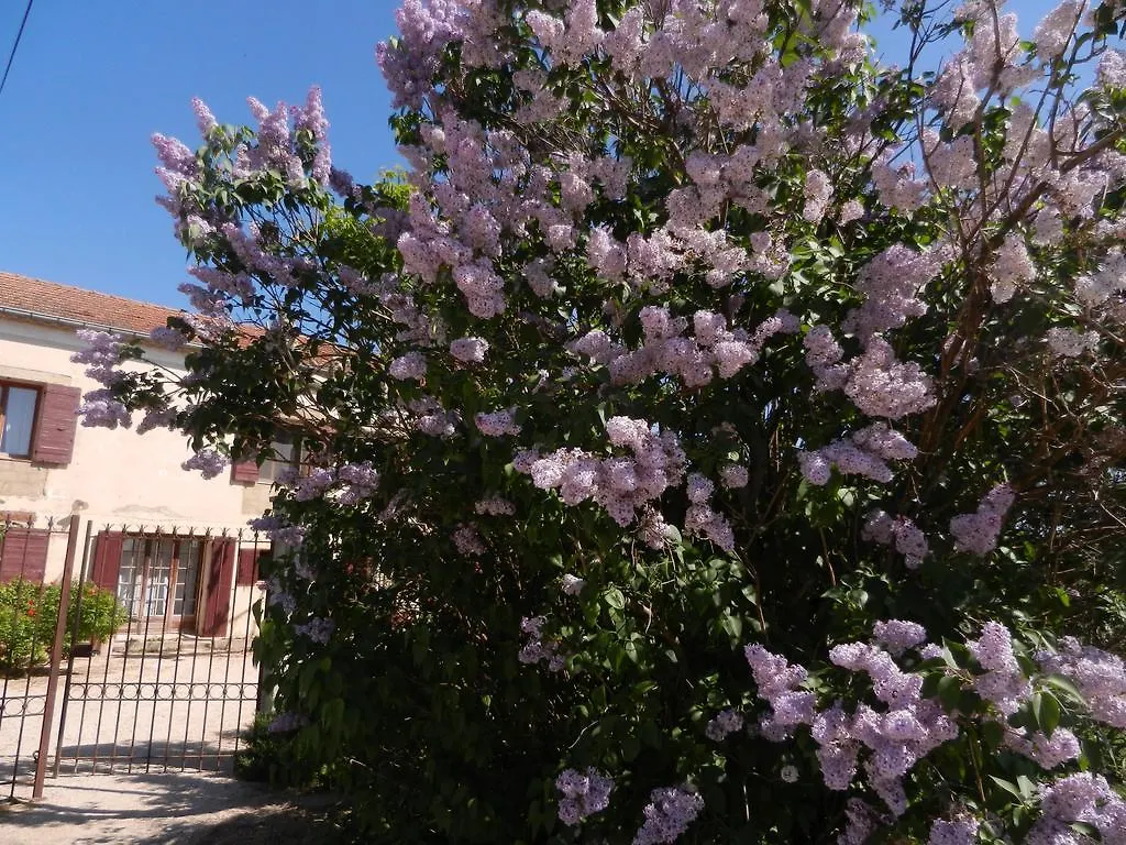 La Feniere Aux Hirondelles Bed & Breakfast Orange  Orange (Vaucluse)